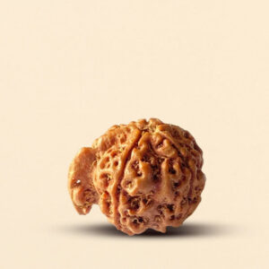 Ganesh Rudraksha